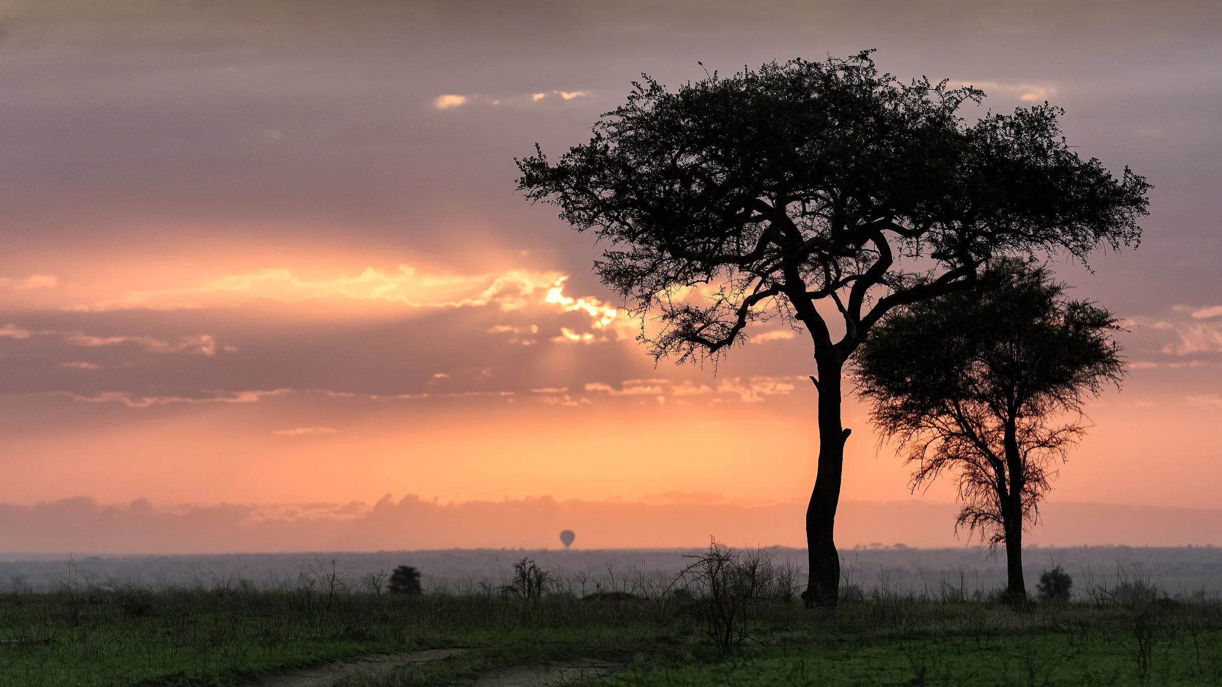 Amanecer sobre la sabana del Serengeti, Tanzania